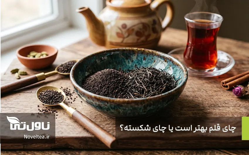 مقایسه چای قلم و شکسته چیست
